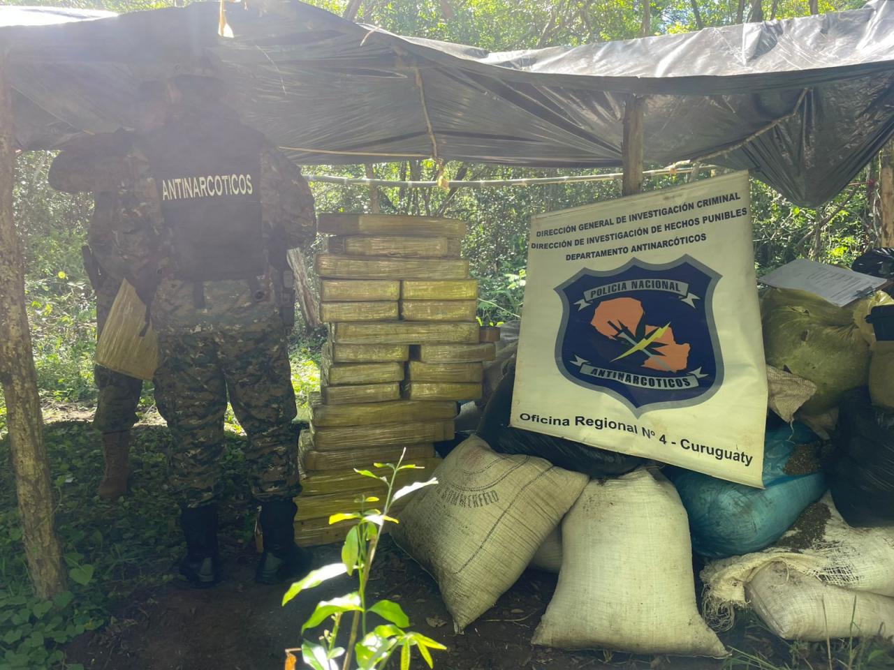 Incineran más de 1.000 kilos de marihuana en Curuguaty