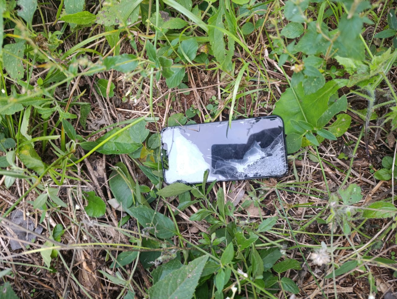 Hallaron celular que pertenecería a María Fernanda