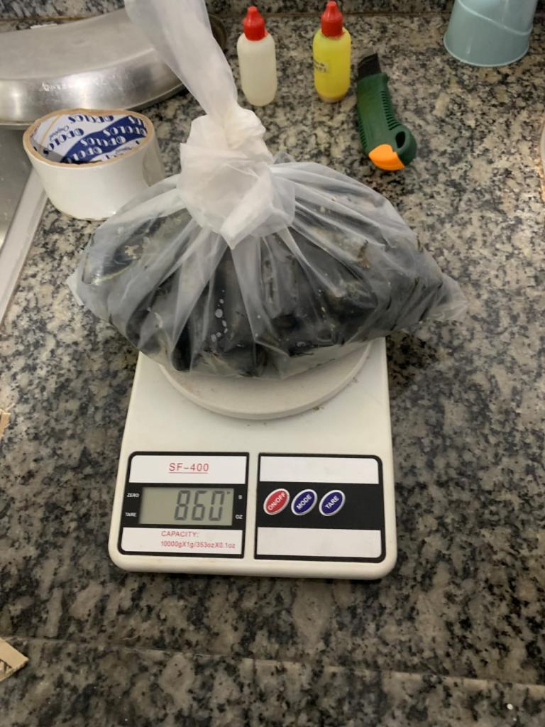 Imputan a hombre que llevaba cápsulas de cocaína presuntamente a Europa