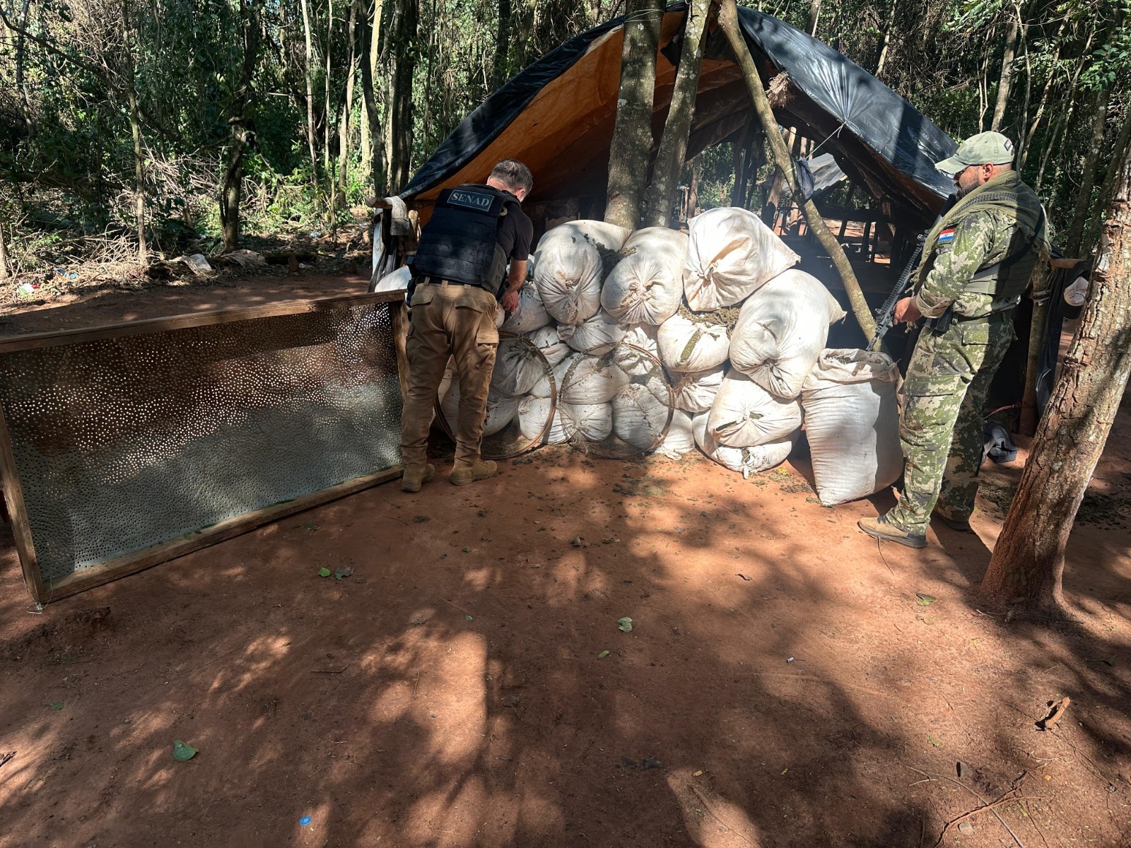 Eliminan una importante carga de marihuana en un inmueble de Santa Rosa del Aguaray