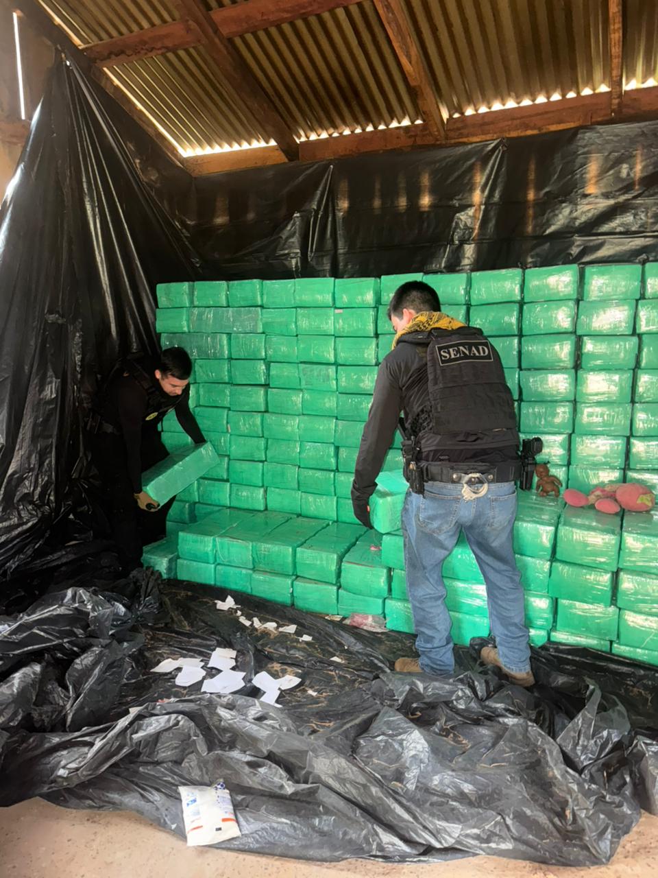Desmantelan complejo de producción de marihuana a gran escala en Villa Ygatimí