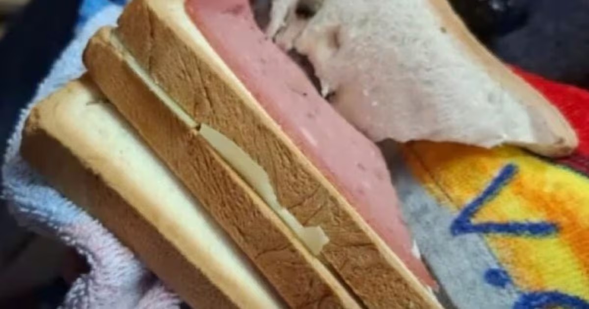 Insólito: encontraron marihuana en un sándwich de una niña de 4 años