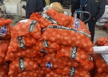 Incautan cerca de 9.000 bolsas de papa y cebolla de presunto contrabando en zona del Abasto