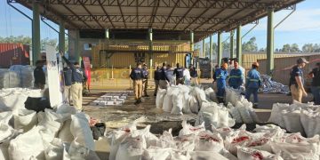 Imputan a exportador tras hallazgo de cocaína oculta en bolsas de poroto y maíz