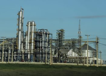 Industria de la soja opera al 80% de su capacidad