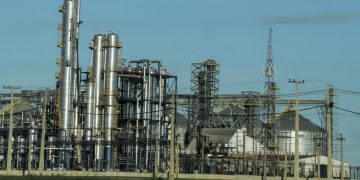 Industria de la soja opera al 80% de su capacidad