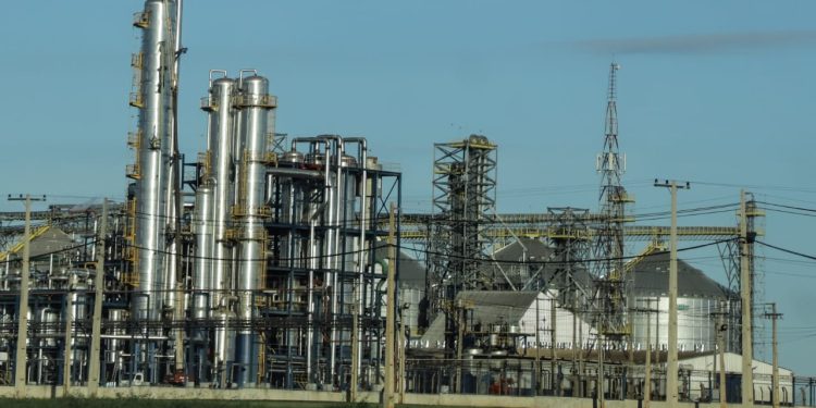 Industria de la soja opera al 80% de su capacidad