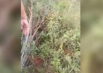 Crimen de adolescente en Limpio: detienen al principal sospechoso