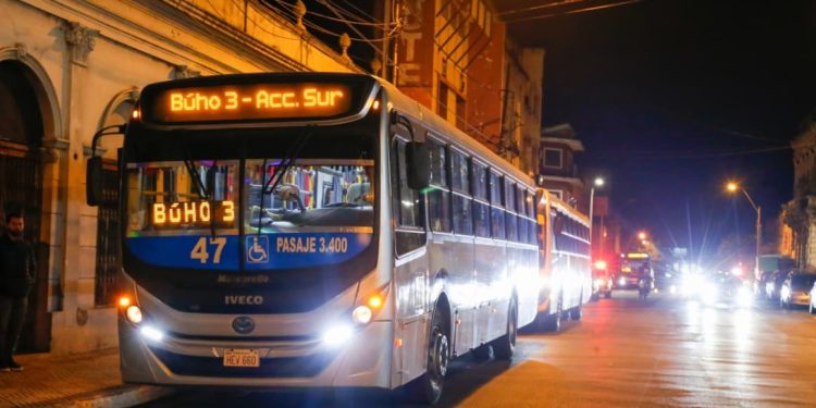 Consideran que servicio nocturno de buses mejorará y ampliará el campo laboral