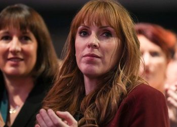 Viceprimera ministra británica renunció por no pago de impuestos