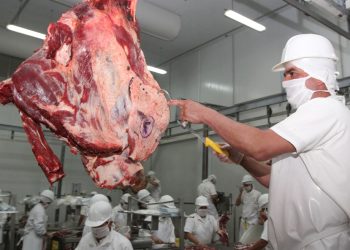 EEUU podría convertirse en el segundo destino más importante de la carne nacional