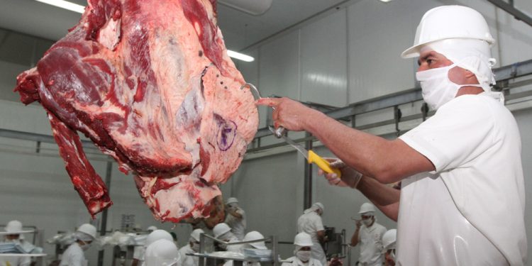 EEUU podría convertirse en el segundo destino más importante de la carne nacional