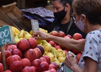 Mayor productividad ganadera y menor dinamismo agrícola