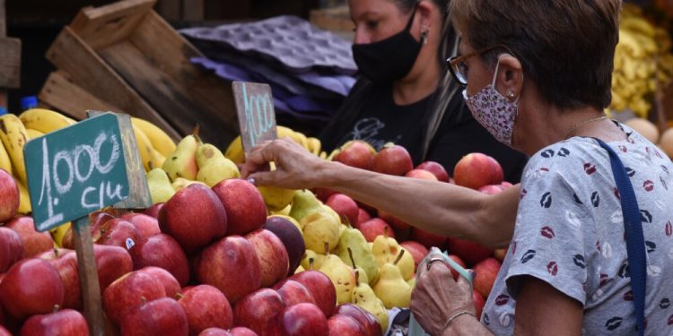 Mayor productividad ganadera y menor dinamismo agrícola