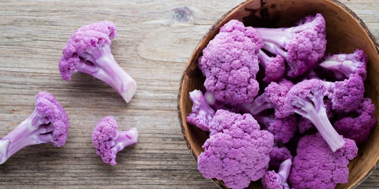 Productores paranaenses se diversifican con la coliflor morada