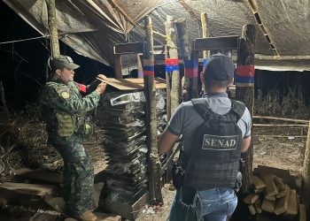 Tras enfrentamiento con narcos desmantelan campamento en San Pedro