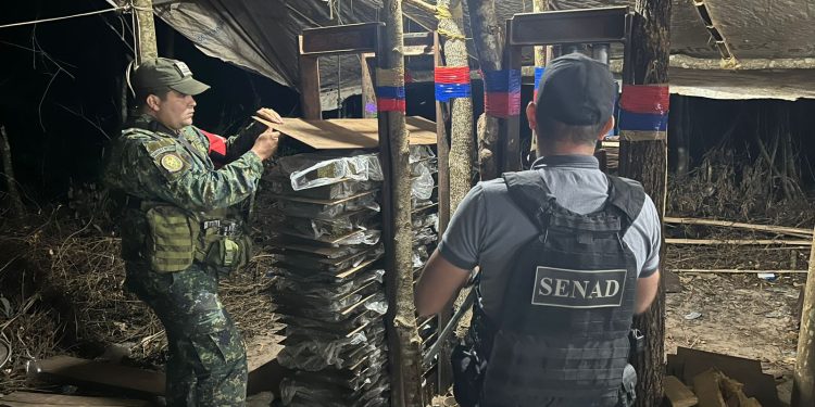 Tras enfrentamiento con narcos desmantelan campamento en San Pedro