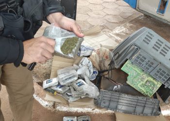 Evitan llegada de marihuana tipo Skunk destinada al microtráfico en Concepción