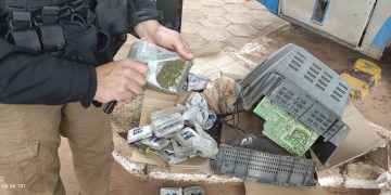 Evitan llegada de marihuana tipo Skunk destinada al microtráfico en Concepción