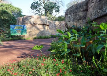 Tekotopa Centro Ambiental de Itaipu, “un encuentro con la vida”
