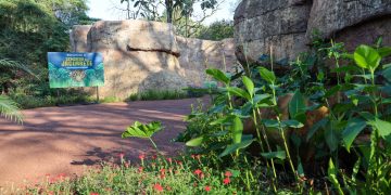 Tekotopa Centro Ambiental de Itaipu, “un encuentro con la vida”