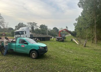 Inician construcción de nuevo alimentador de la ANDE en Paraguarí