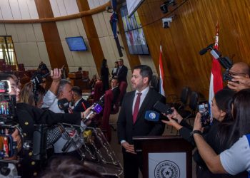 «Privatizar la ANDE, de ninguna manera», responde diputado