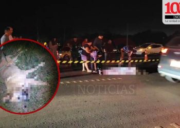 Motociclista quiso esquivar a un perro, fue arrollado por una camioneta y falleció
