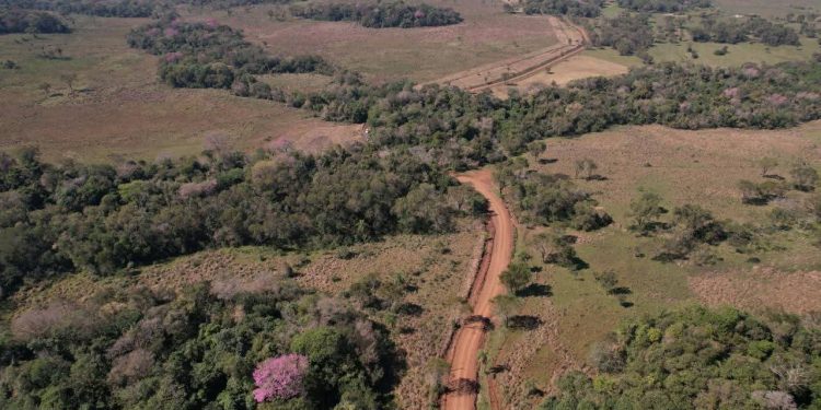 Carmen del Paraná vivió una fiesta con el Mundial de Rally