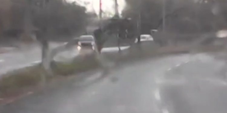 Conductor perdió el control de su vehículo y ocasionó un mortal triple choque en zona del Botánico