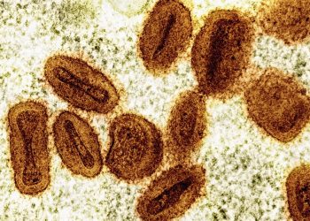 Brote de viruela símica en África ya no es una emergencia de salud global