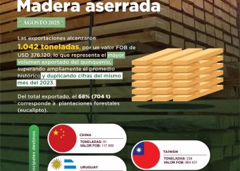Exportación de madera aserrada aumenta 76%