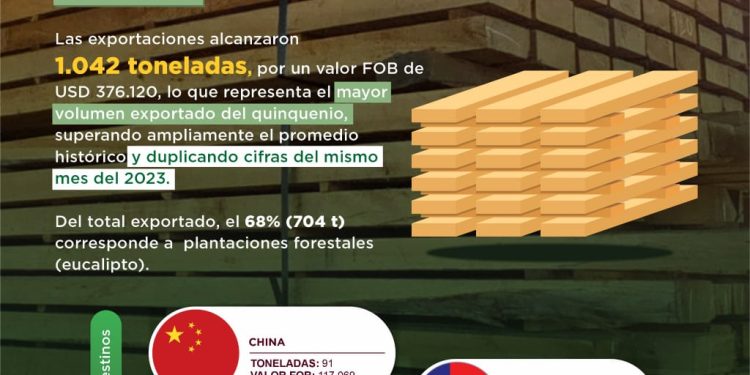 Exportación de madera aserrada aumenta 76%