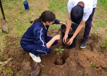 Lanzan primera edición de concurso «Impulso a la Educación Solidaria»