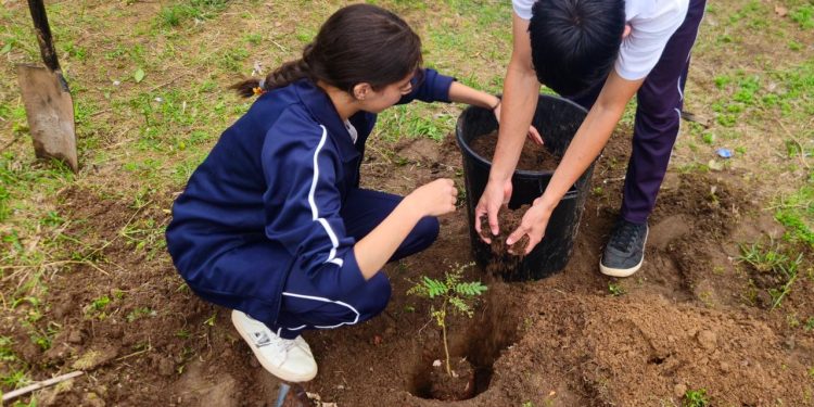 Lanzan primera edición de concurso «Impulso a la Educación Solidaria»