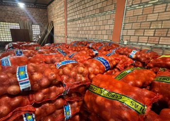Contrabando: incautan 41 toneladas de cebollas y tomates