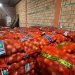 Contrabando: incautan 41 toneladas de cebollas y tomates