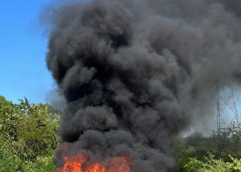 Incineran carga de cocaína en horno pirolítico