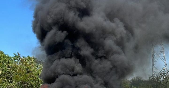 Incineran carga de cocaína en horno pirolítico