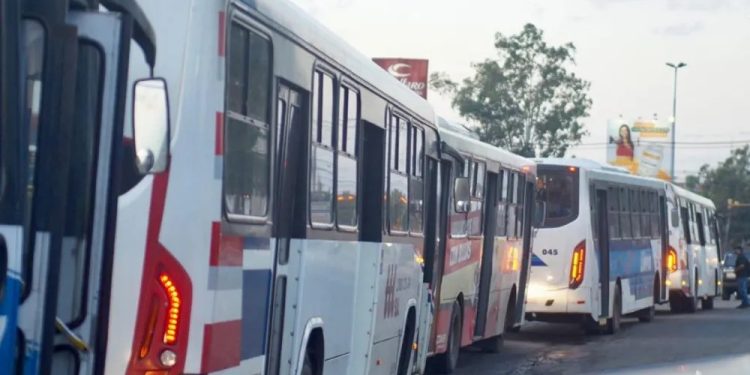 Suspenden huelga de choferes del transporte público