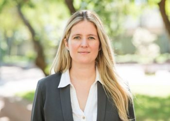 Picos de exportación y potente futuro para el sector forestal nacional