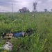 Hallan sin vida a un militar al costado de la ruta en Paraguarí