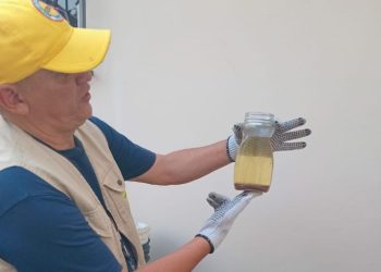 Lucha contra el aedes aegypti prosigue en San Pablo