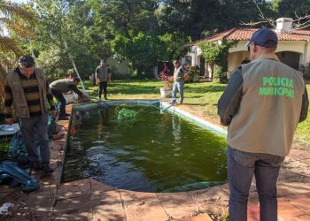 Se intensifican controles y notificaciones a propietarios de viviendas y baldíos abandonados