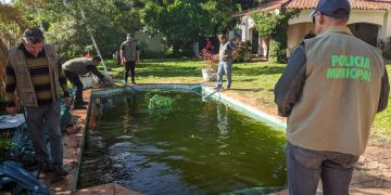 Se intensifican controles y notificaciones a propietarios de viviendas y baldíos abandonados