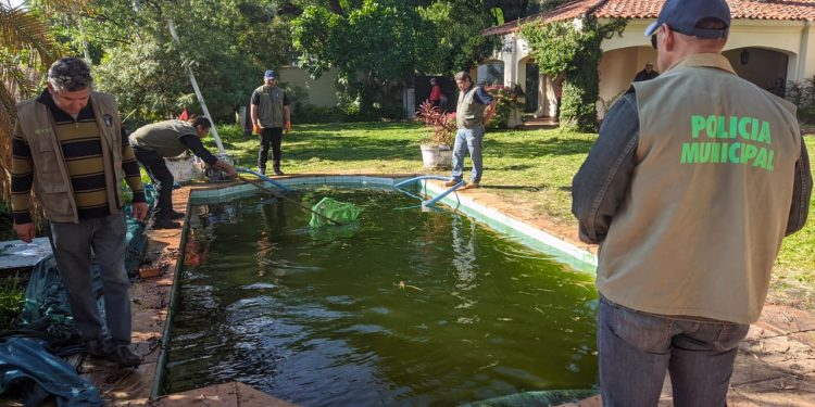 Se intensifican controles y notificaciones a propietarios de viviendas y baldíos abandonados