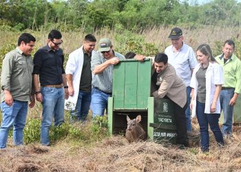 Yacyretá inicia plan piloto de reintroducción de especies nativas