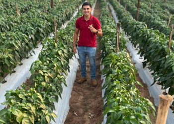 Gobierno destaca testimonio de éxito de Programa Hambre Cero