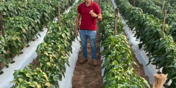 Gobierno destaca testimonio de éxito de Programa Hambre Cero