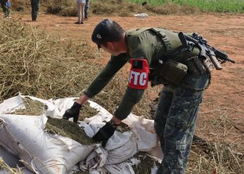 Golpe de casi medio millón de dólares a estructuras del narcotráfico que operan en Concepción